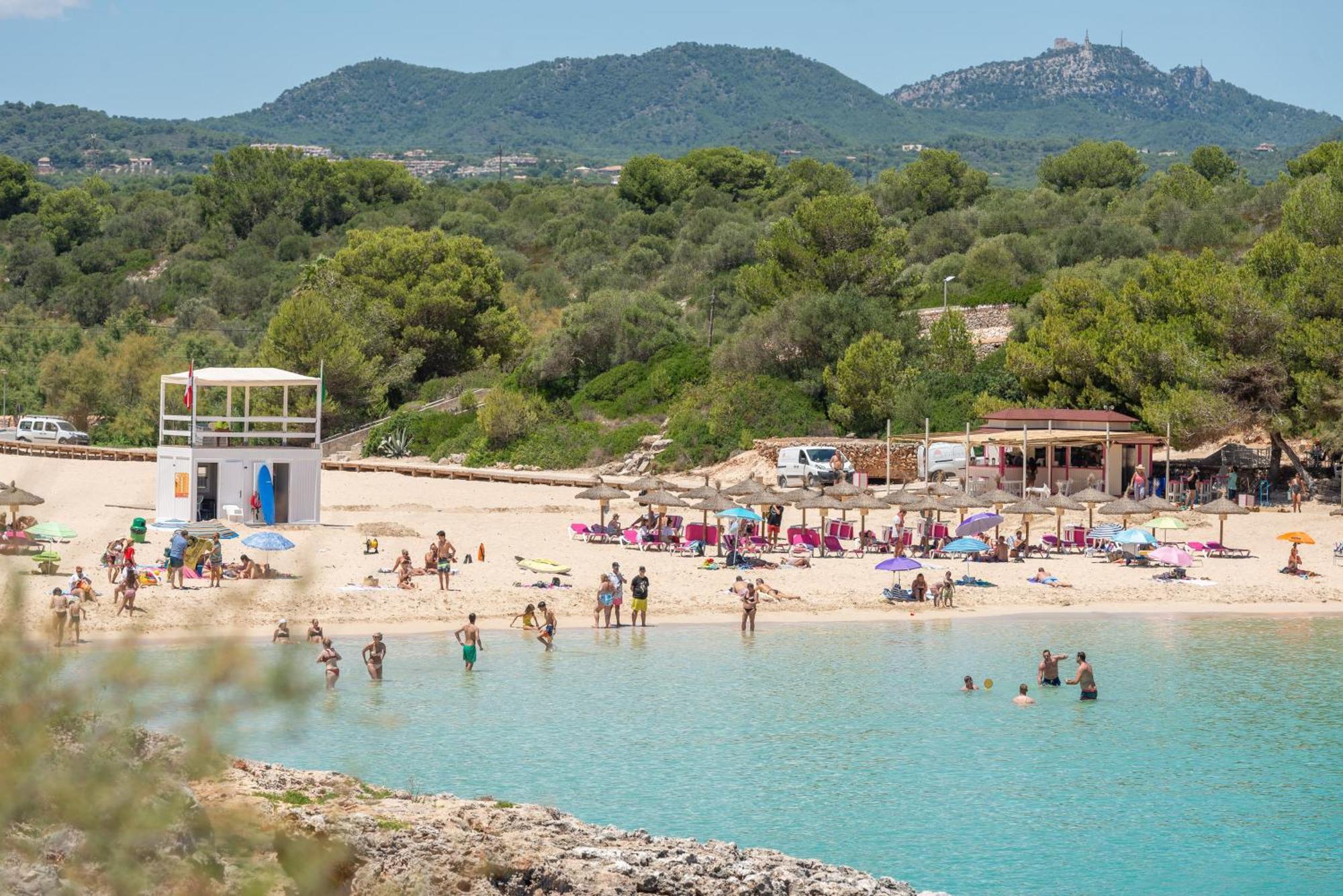Corb Mari 2 En La Playa Cala Marsal!